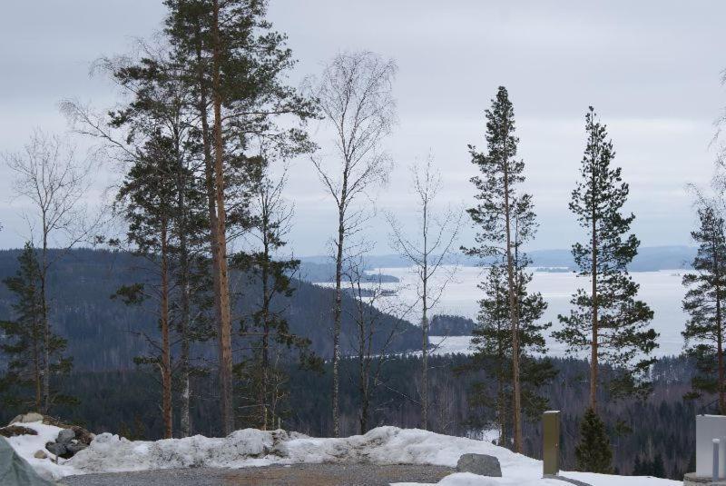 Riihivuoren Lomakylae Muurame Ruang foto